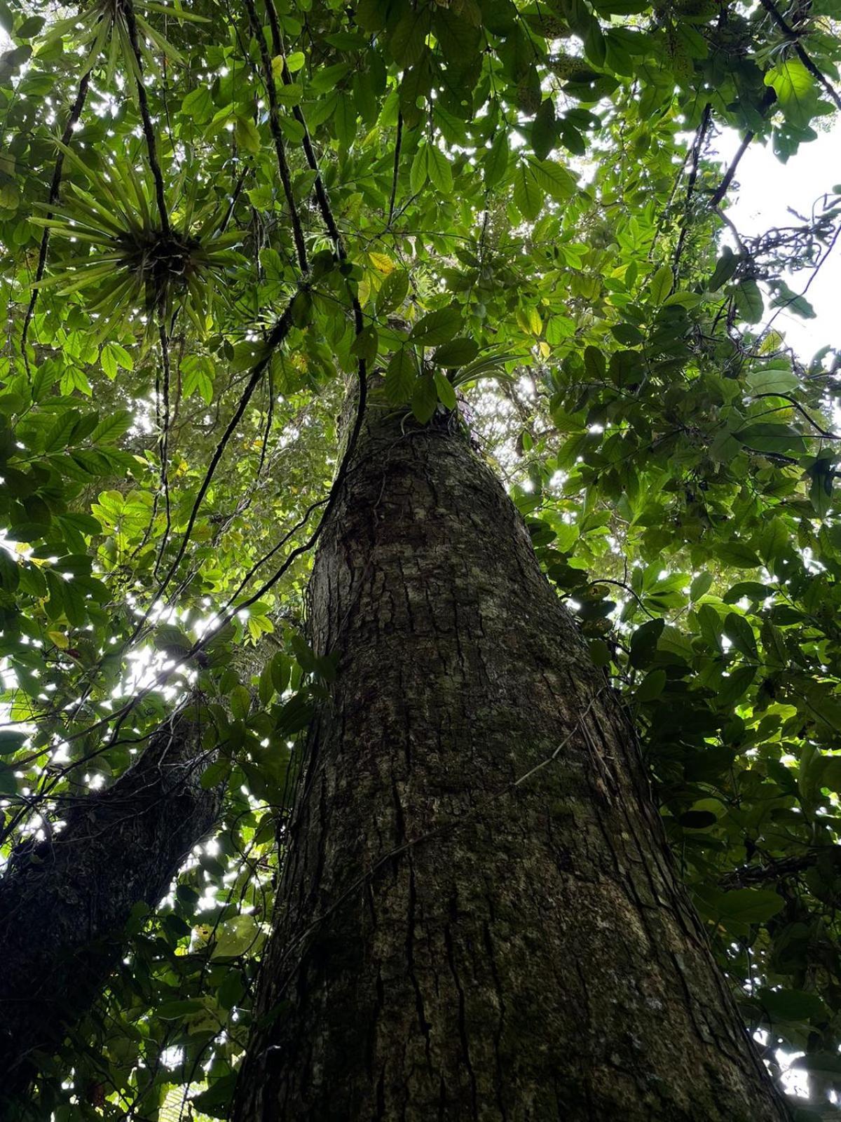 Hadco Experiences At Asa Wright Nature Centre Blanchisseuse 外观 照片