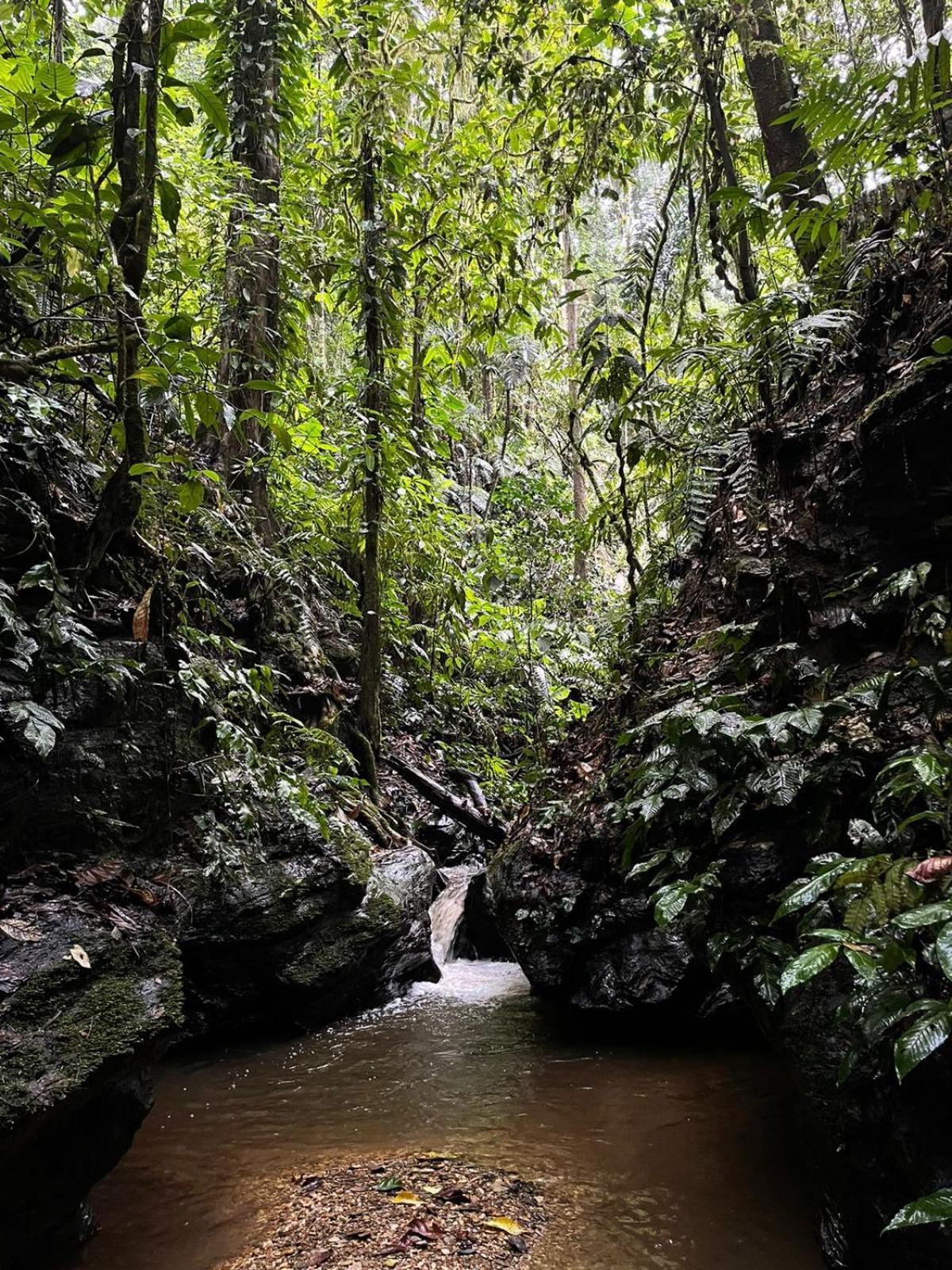 Hadco Experiences At Asa Wright Nature Centre Blanchisseuse 外观 照片