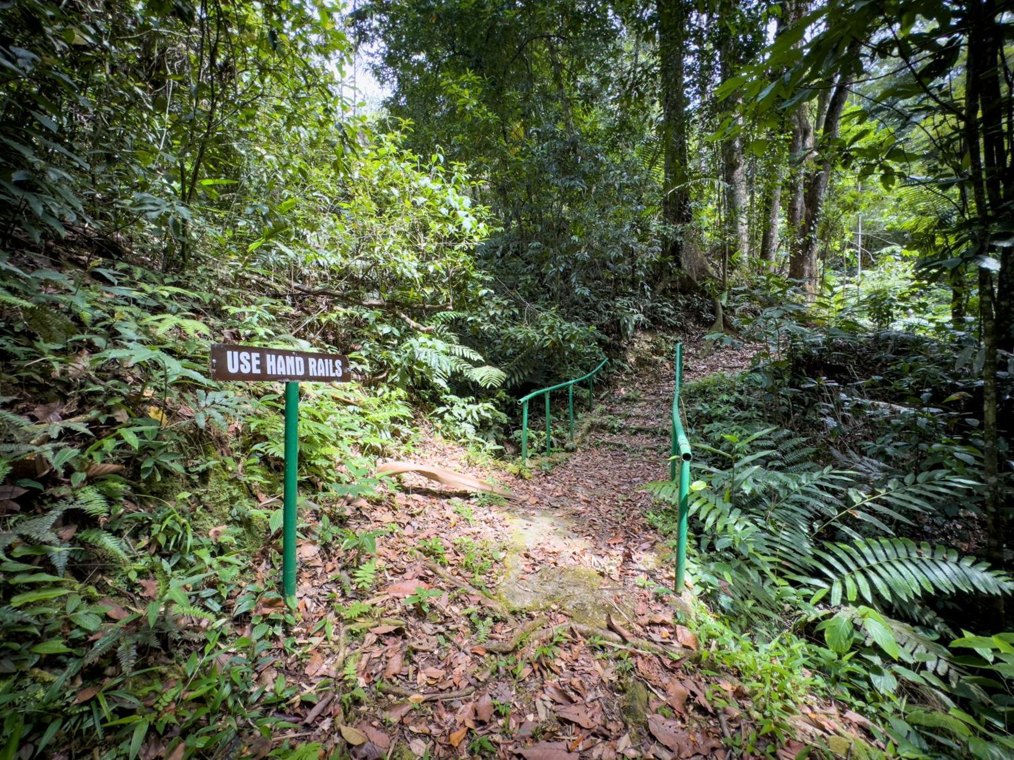 Hadco Experiences At Asa Wright Nature Centre Blanchisseuse 外观 照片