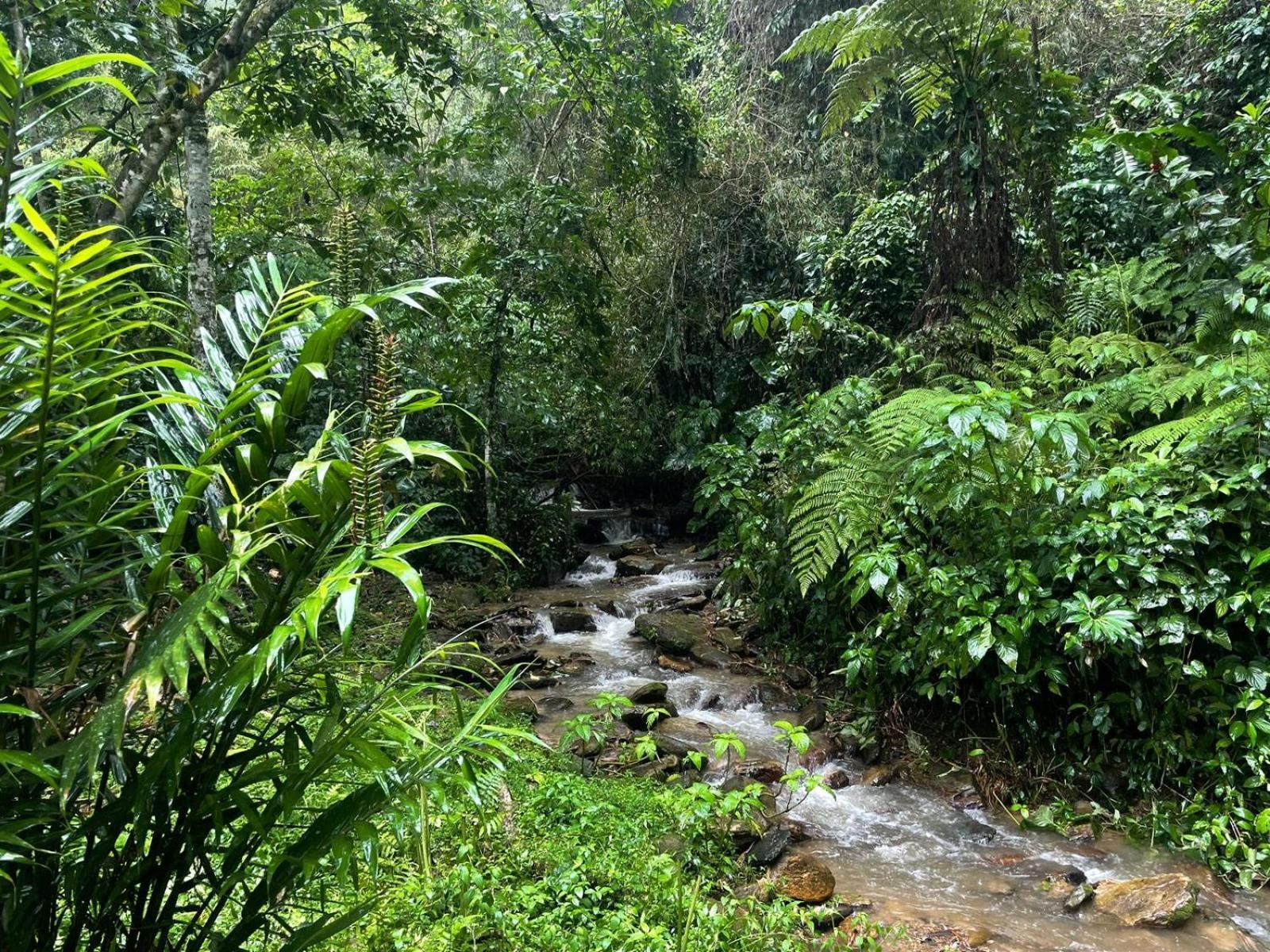 Hadco Experiences At Asa Wright Nature Centre Blanchisseuse 外观 照片