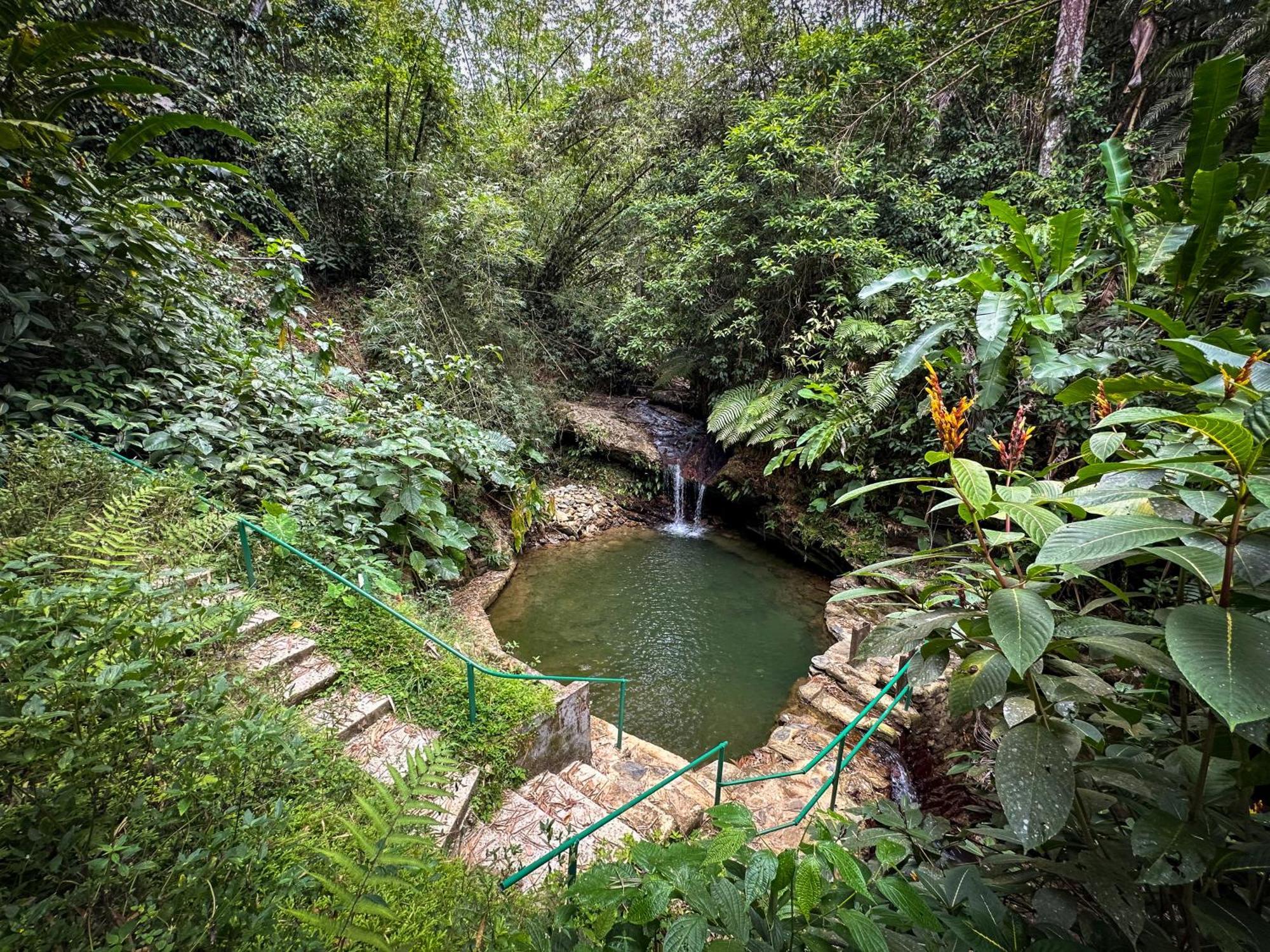 Hadco Experiences At Asa Wright Nature Centre Blanchisseuse 外观 照片